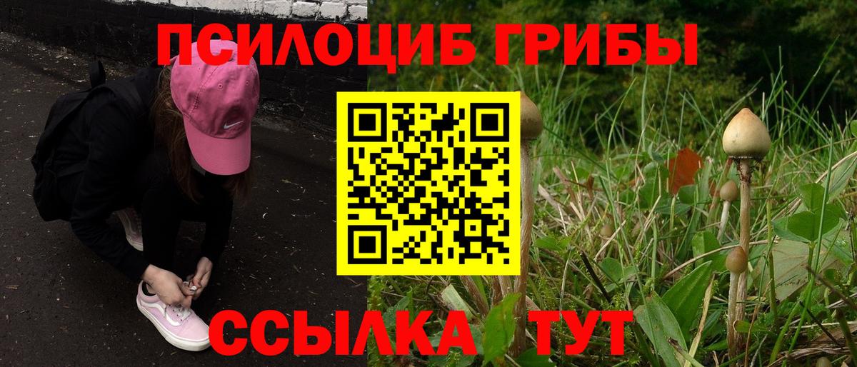 Кыштым  Галлюциногенные грибы ЛСД  Вход с VPN 