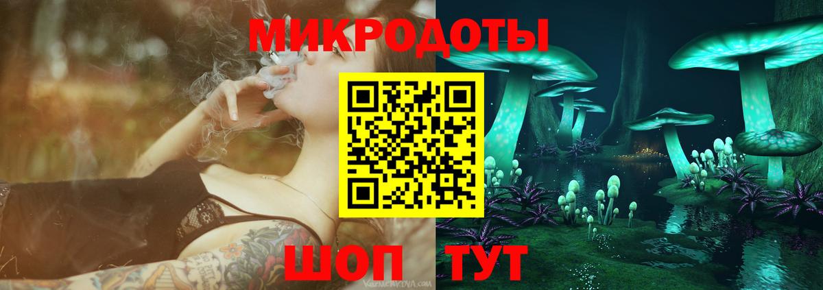Галлюциногенные грибы Psilocybine cubensis Кыштым